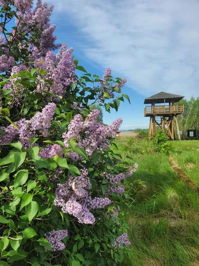 Luka Agroturystyka Ruta Nad Zalewem Siemianowkaヴィラ エクステリア 写真